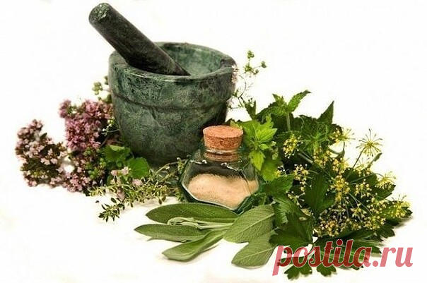Интересные старые рецепты для женского здоровья. Эти советы от 
известной травницы. 
Польза их подтверждена столетиями. * Женщинам важно 
употреблять специи. - Если месячные «не приходят» вовремя, нерегулярные или 
болезненные - поможет красный перец (почаще добавлять в пищу). - Если слишком 
обильные и длительные - рекомендуется смесь винного уксуса с крапивой 1:1 по 1 
стю ложке 2-3 раза в день во время еды. * Специальный оздоровительный напиток: 
настойка малины и кален...