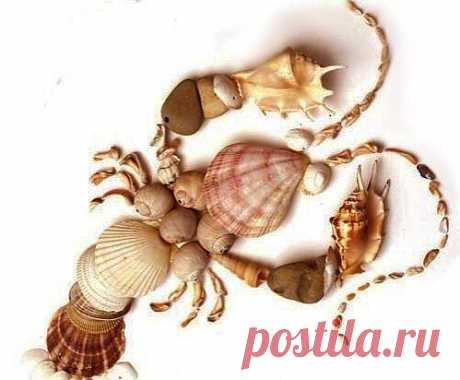 Поделки из морских и речных ракушек