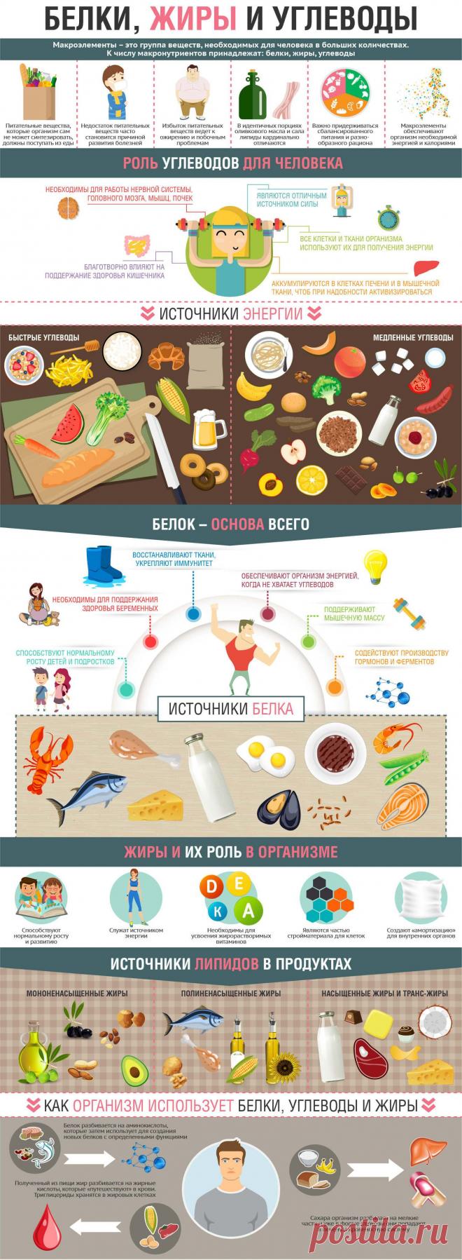 Белки, жиры и углеводы