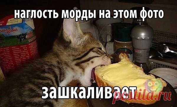 Интересные новости