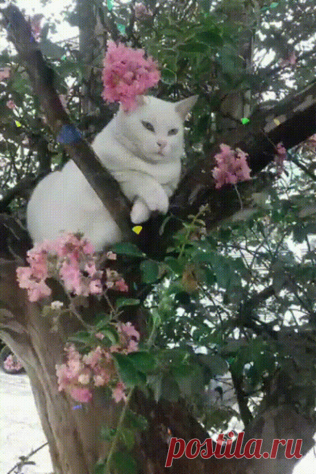 Лето
