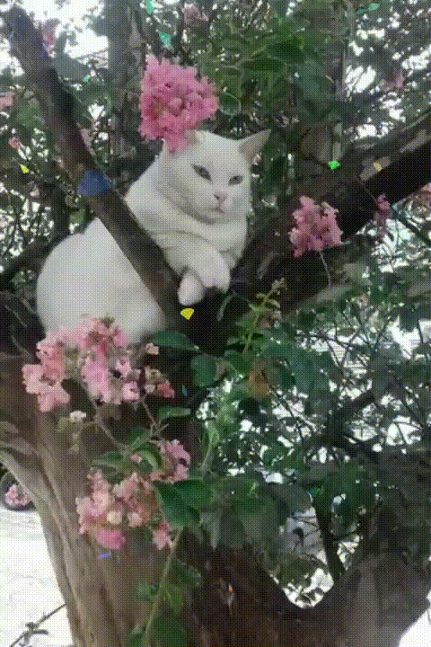 Лето