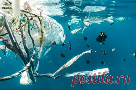 Создана технология для очищения воды от нанопластика. Ученые создали новую технологию, которая может удалять вредные нанопластики из загрязненной воды с эффективностью 94 процента. Используя процесс, называемый термическим разложением, исследователи превратили эпоксидную смолу в активированный уголь, способный удалять нанопластики.