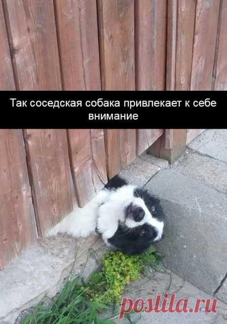 Эти фото поднимут вам настроение даже в самый пасмурный день