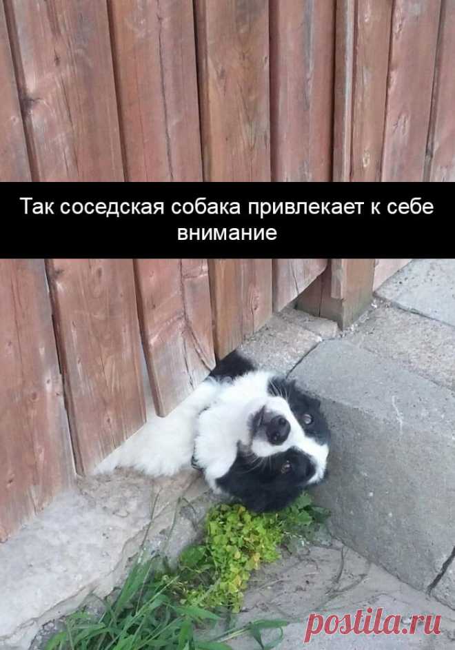 Эти фото поднимут вам настроение даже в самый пасмурный день