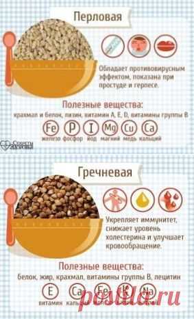 (50) Одноклассники    ПУТЕВОДИТЕЛЬ ПО КАШАМ