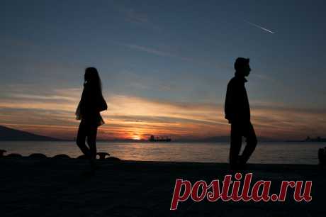 Лучший развод – до брака | Беляков | Яндекс Дзен