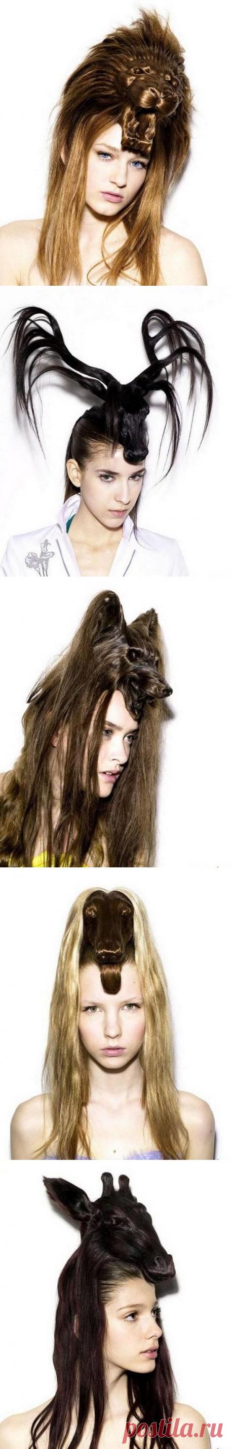 Необычная женская прическа / Все для женщины