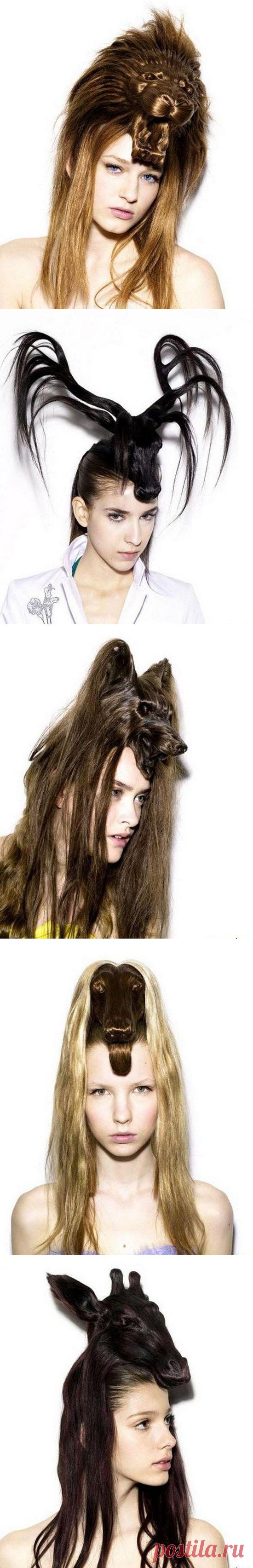 Необычная женская прическа / Все для женщины