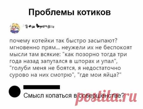 Смешные скрины из социальных сетей