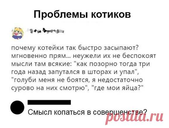 Смешные скрины из социальных сетей