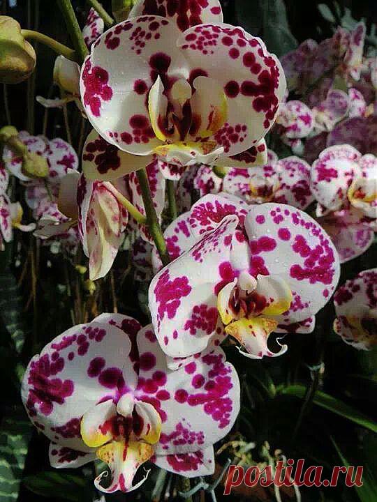 Alaaddin BOZKIR – Google+