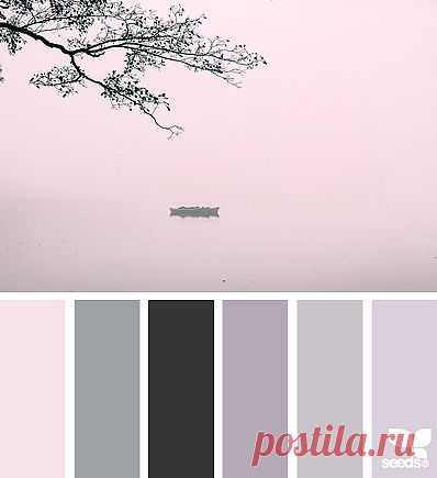Design Seeds® | find your palette