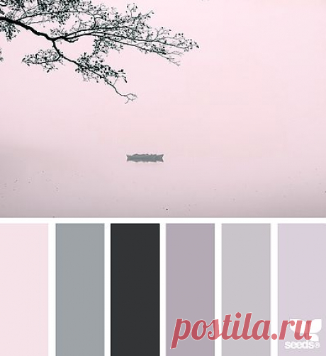 Design Seeds® | find your palette