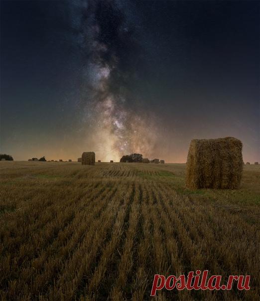 Млечный путь над полем в Рязанской области. Автор фото – Кирилл Пчелинцев: nat-geo.ru/photo/user/345516/ Звёздных снов!
