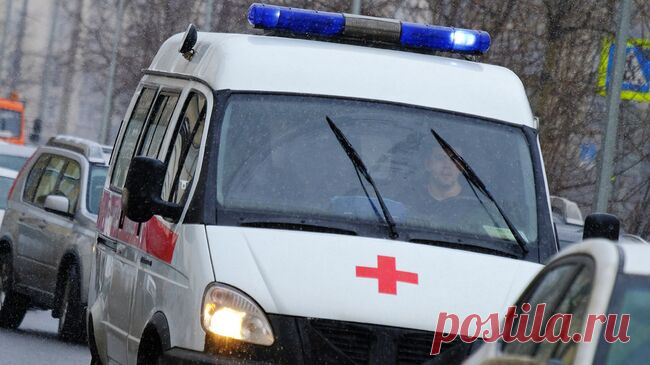 В Москве ребенок упал с арт-объекта в парке "Остров мечты"