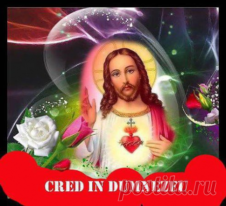 (3) Одноклассники