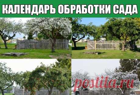 Календарь обработки сада
Каждому садоводу очень важно, чтобы плодово-ягодные деревья и кустарники в саду оставались здоровыми и давали хороший урожай. Для этого нужно своевременно проводить мероприятия по профилактике заражения болезнями и поражения вредителями.