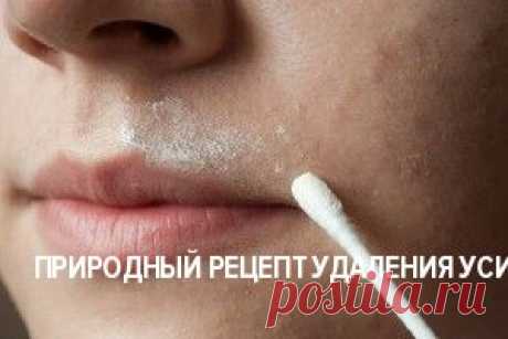 Природный рецепт удаления усиков на лице | Golbis
