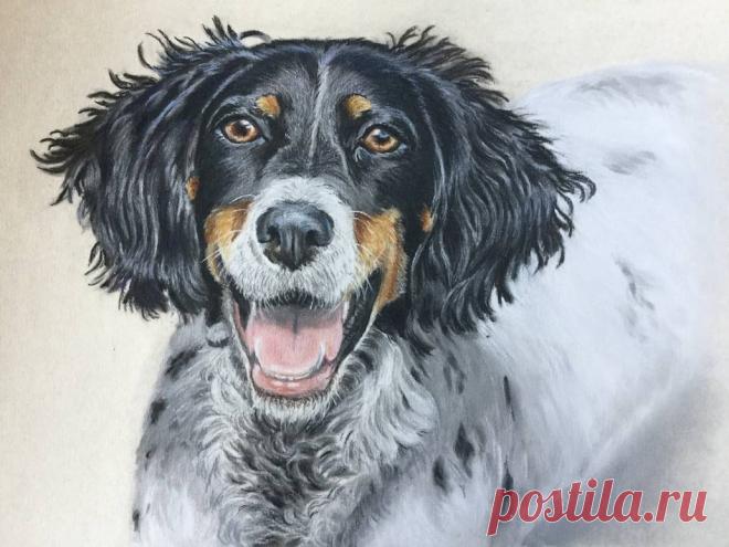 Ember by Theladywolfheart on DeviantArt