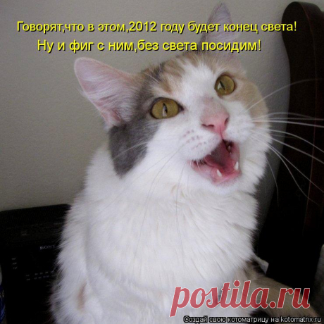 Котоматрица: Случайные котоматрицы