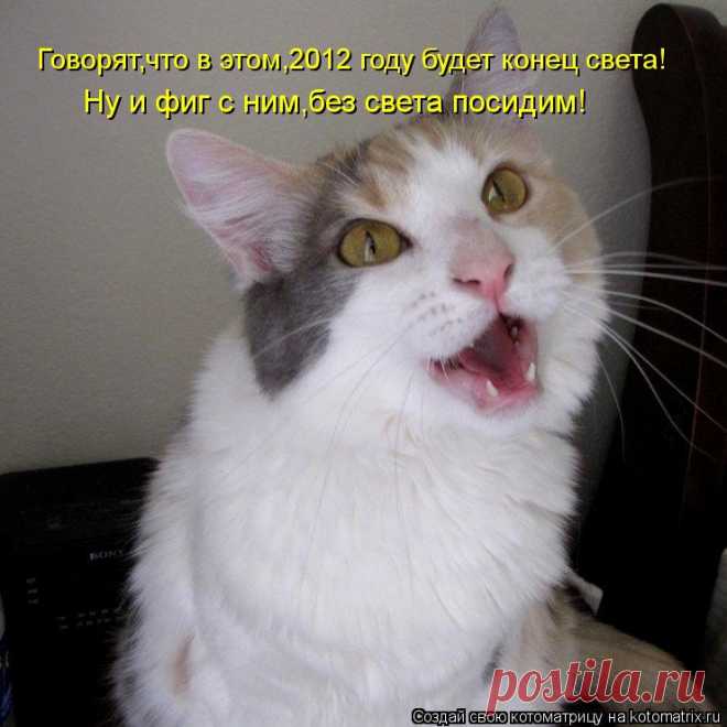 Котоматрица: Случайные котоматрицы