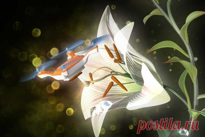 Японцы создали уникальных пчел-дронов | Чёрт побери Созданы заменяющие пчел дроны-опылители.  Японские ученые из Национального института передовых технологий и наук создали маленькие беспилотные летальные аппараты, которые способны опылять цветковые растения. По замыслу исследователей, роботы должны помочь смягчить последствия от уменьшения популяции пчел по всему миру.Инженеры снабдили 5-сантиметровых дронов G-Force PXY CAM клейкой поверхностью, которая сделана из шерсти ...