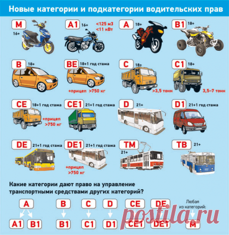 Категория В1 водительских прав: что это означает и какие ТС можно водить
