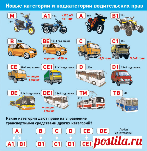 Категория В1 водительских прав: что это означает и какие ТС можно водить