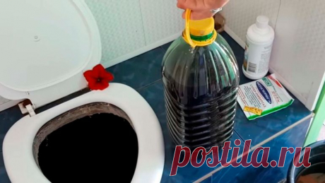 Как легко устранить запах в дачном туалете