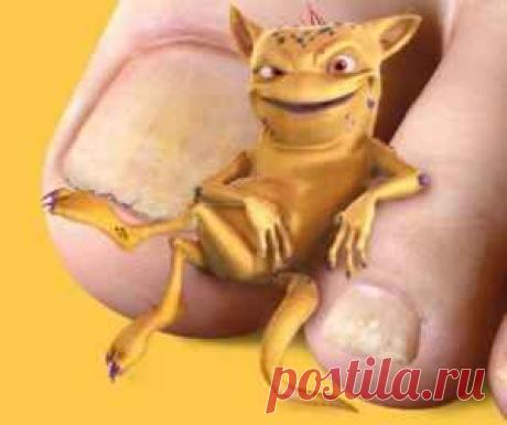 цитата kuzya123452 : Грибок на ногтях ног, лечение для пожилых. (23:51 16-01-2015) [5512739/350309802] - cshjktdbx@mail.ru - Почта Mail.Ru