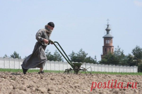 Как правильно не заботиться о завтрашнем дне | Православие и мир
