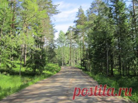 Остров Валаам. Природа острова. Круиз на теплоходе "В. Маяковский". Мои фото и видео.