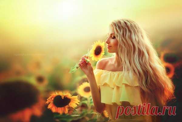 Подсолнухи, фотограф Ольга Бойко - ego-alterego.com