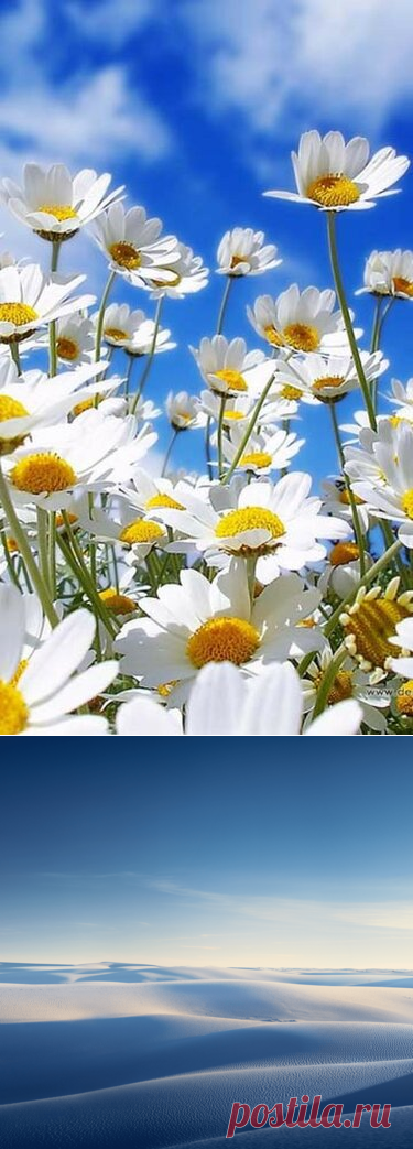 24 карточки в коллекции «Красивые обои для смартфона» пользователя ionlights в Яндекс.Коллекциях