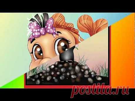Приветик! - YouTube