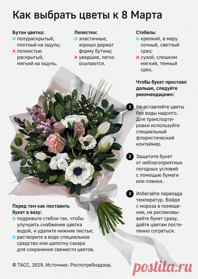 Как выбрать цветы к 8 Марта - Инфографика ТАСС