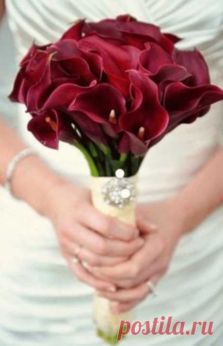 (75) Pinterest