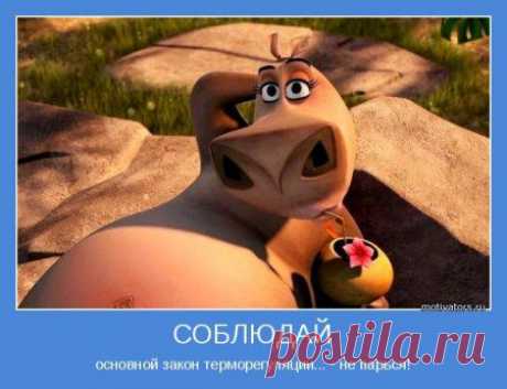 Правильные мотиваторы