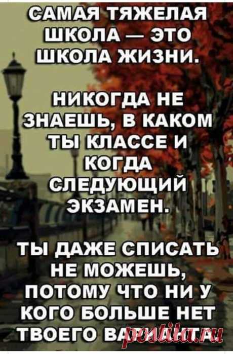 хх