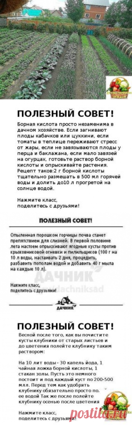 (91) Одноклассники