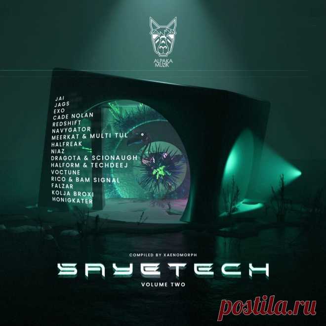 VA - Sayetech, Vol. 2 ALPAK159 FLAC » MinimalFreaks.co