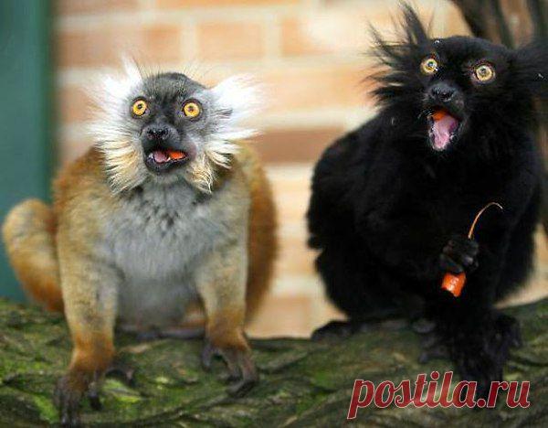 Интересные новости