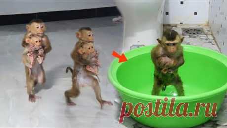 Awes0me Smartest Molly Hold CC To Bathe With Him & Take Her To Bedroom For Mom Wear Diaper