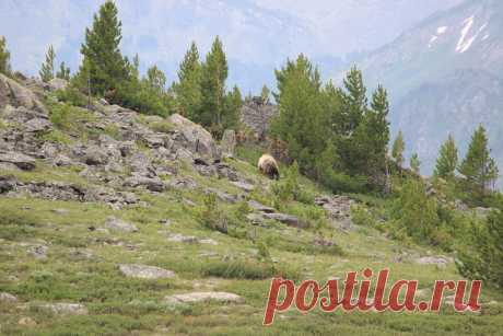 Фотография - Google Фото