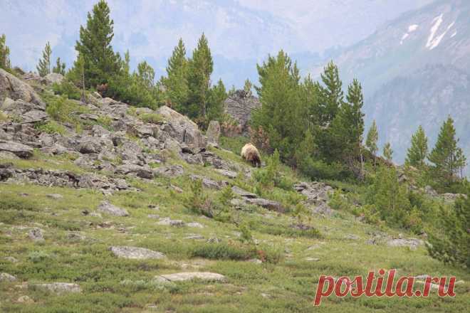 Фотография - Google Фото