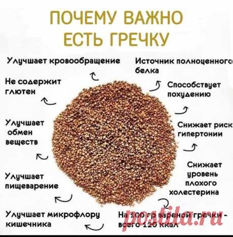 О ПОЛЬЗЕ ГРЕЧКИ