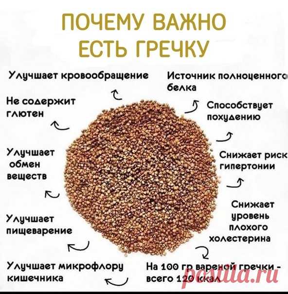 О ПОЛЬЗЕ ГРЕЧКИ