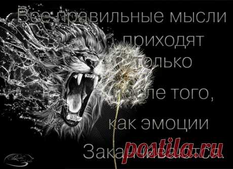 Одноклассники