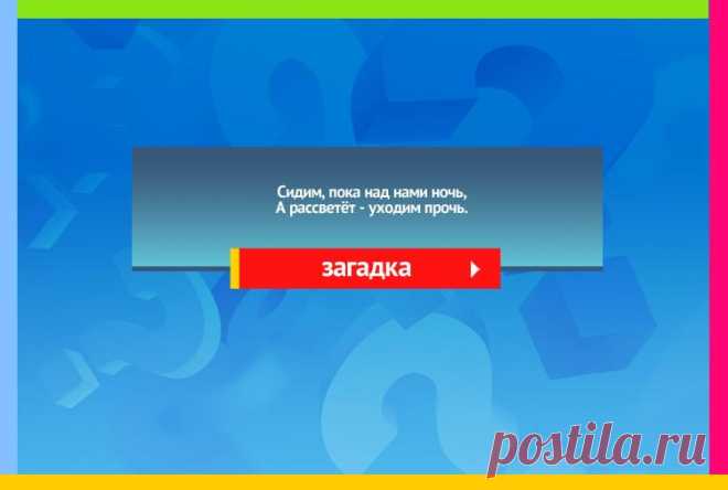 Сидим пока над нами ночь - Загадка